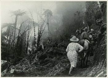 schwarz-weiß Fotografie mit einer Reisegruppe bei einer Bergbesteigung in Kolumbien