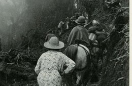 Horst Martin, Aufstieg zum Novado del Tolima, um 1940 schwarz-weiß Fotografie mit einer Reisegruppe bei einer Bergbesteigung in Kolumbien
