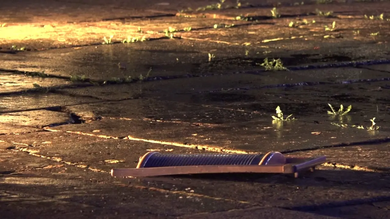 Eddy Ekete - Prewash-wash-drying-purification -  Performance in the courtyard, Japanisches Palais, September 14, 2017