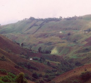 Landschaft im Kameruner Grasland, 2003 © GRASSI Museum für Völkerkunde  zu Leipzig, Foto: Herbert Luyken