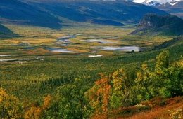 Dirk Steudner, Herbstliches Rapadalen Ansicht eines Fjord im Herbst