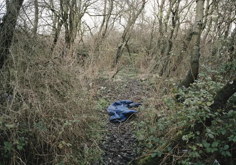 Aus der Serie "La Jungle"