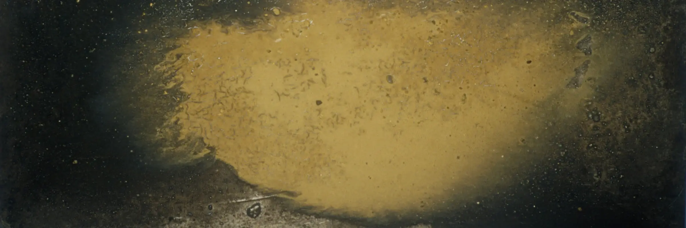 Jaune, Vincente Pimentel