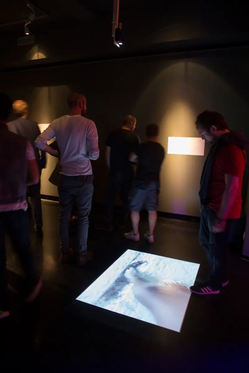 "La Folle", Myriam Mihindou